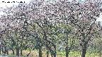 takano3-20250503124044.jpg