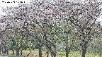 takano3-20250503125044.jpg