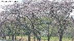 takano3-20250503130044.jpg