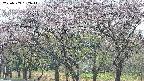 takano3-20250503132043.jpg