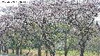 takano3-20250503133042.jpg