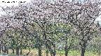 takano3-20250503135042.jpg