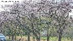takano3-20250503141042.jpg