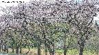 takano3-20250503142044.jpg