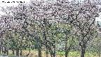 takano3-20250503143044.jpg