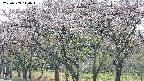 takano3-20250503144044.jpg