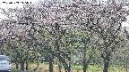 takano3-20250503145043.jpg