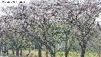 takano3-20250503150044.jpg