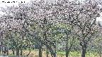 takano3-20250503151043.jpg