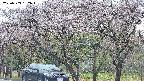 takano3-20250503152044.jpg