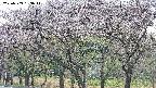 takano3-20250503153042.jpg