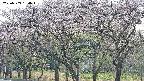 takano3-20250503154043.jpg