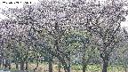 takano3-20250503155044.jpg