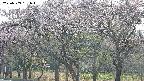 takano3-20250503161044.jpg