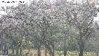 takano3-20250503162044.jpg