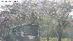 takano3-20250503163044.jpg
