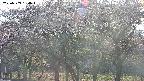 takano3-20250503164044.jpg