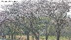 takano3-20250503170044.jpg