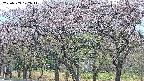 takano3-20250503172043.jpg