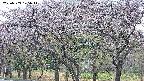 takano3-20250503175045.jpg