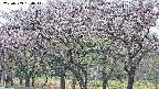 takano3-20250503180045.jpg