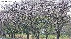 takano3-20250503181045.jpg