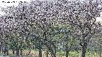takano3-20250503182043.jpg
