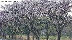 takano3-20250503183044.jpg