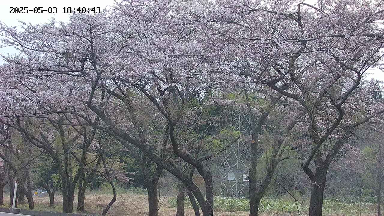 takano3-20250503184044.jpg