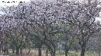 takano3-20250503184044.jpg