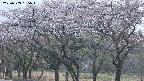 takano3-20250503185044.jpg