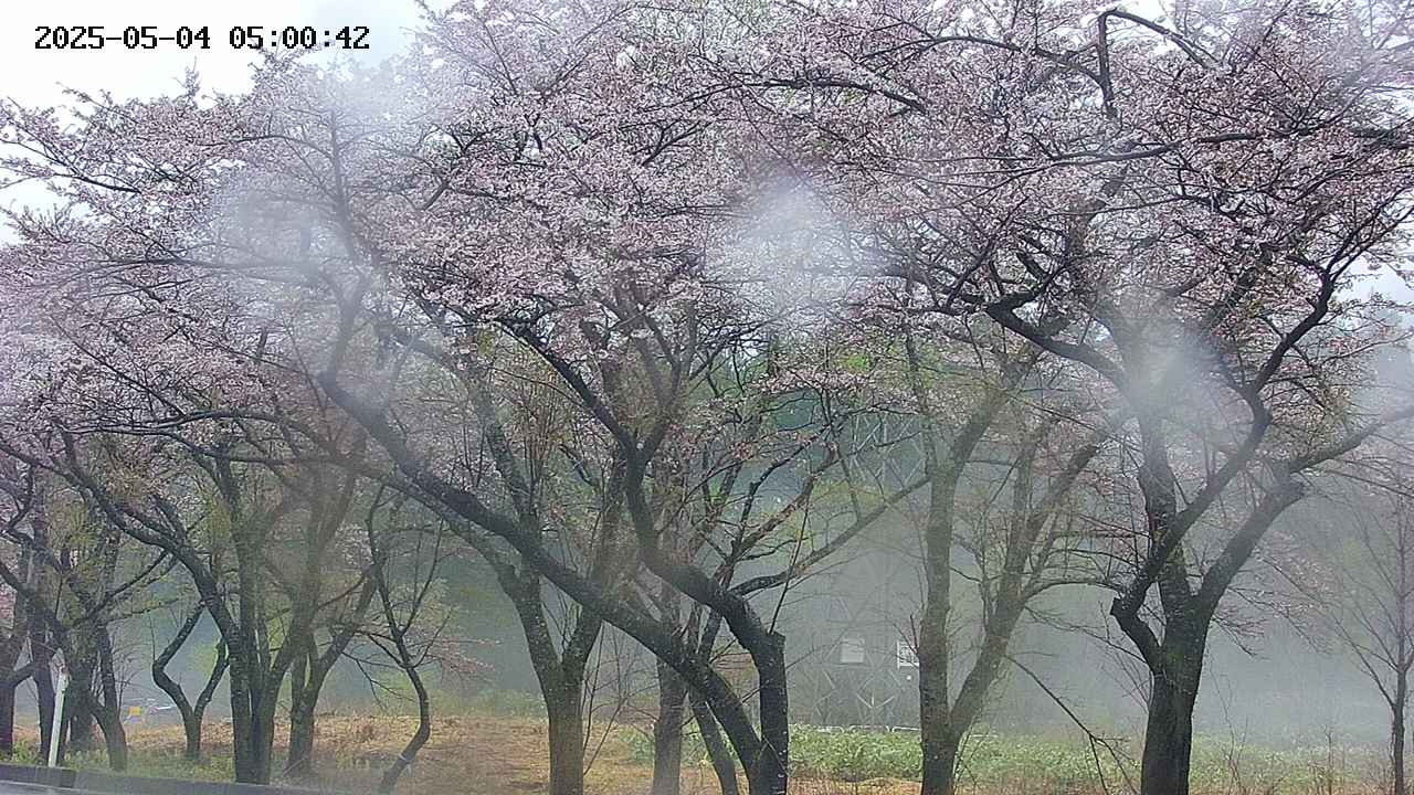 takano3-20250504050043.jpg
