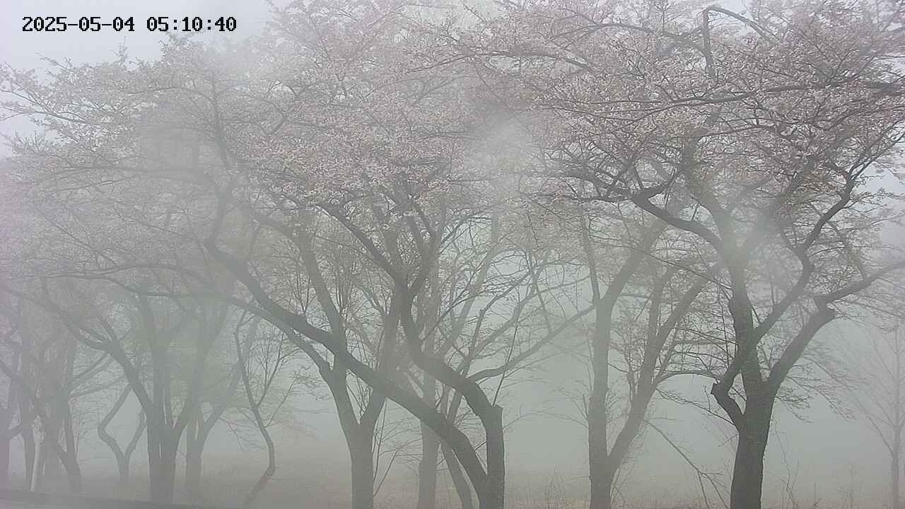 takano3-20250504051041.jpg