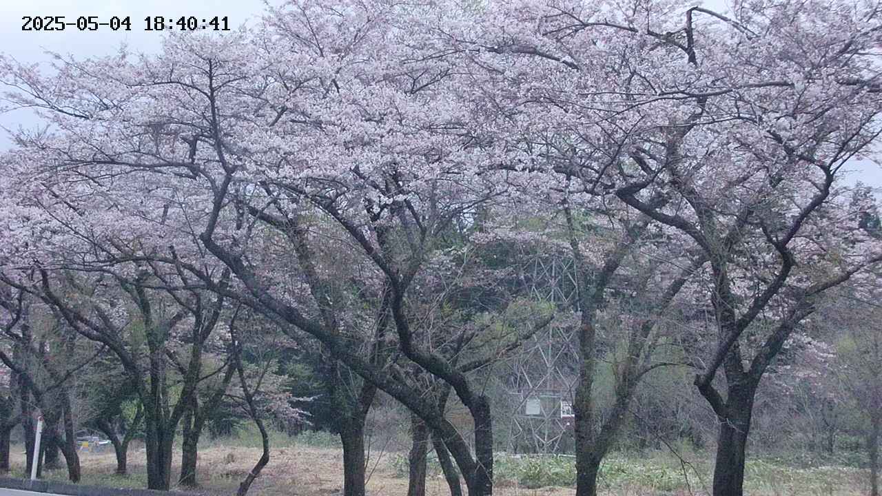 takano3-20250504184042.jpg