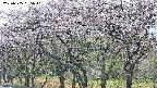 takano3-20250505055041.jpg