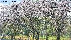 takano3-20250505113046.jpg
