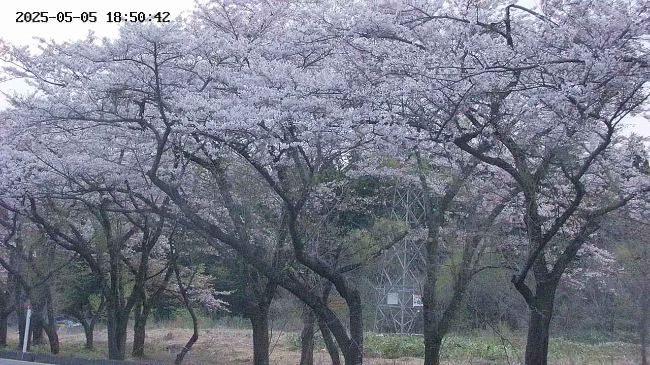 takano3-20250505185044.jpg