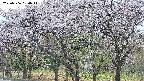 takano3-20250506050043.jpg