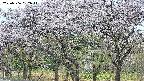 takano3-20250506052043.jpg