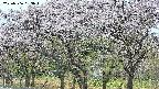 takano3-20250506053043.jpg