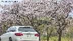 takano3-20250506070043.jpg