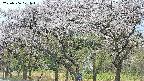 takano3-20250506071044.jpg
