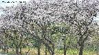 takano3-20250506085045.jpg