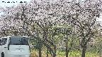 takano3-20250506094042.jpg
