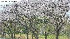 takano3-20250506104044.jpg