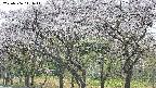 takano3-20250506111042.jpg