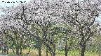 takano3-20250506122042.jpg