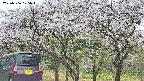 takano3-20250506125044.jpg