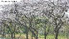 takano3-20250506143044.jpg