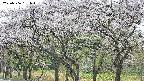 takano3-20250506151045.jpg